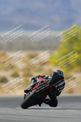 media/Apr-13-2025-Race Pace (Sun) [[7918213ab8]]/Verified/3-Turn 5 Backside (1020am)/